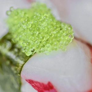Tobiko Caviar (Flying Fish Roe) Green Wasabi