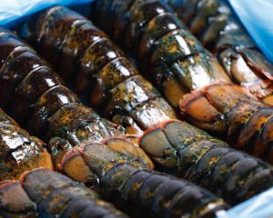 Frozen Lobster Tail