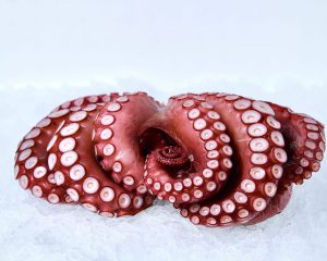 Madako Octopus Whole (Tako), Cooked