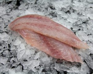 Snapper Fillet