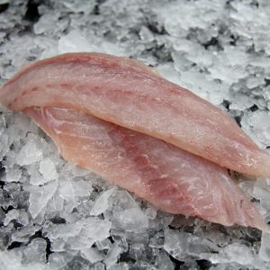 Snapper Fillet