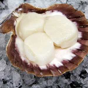 10-20 Sea Scallops, Sushi Grade, Dry Pack