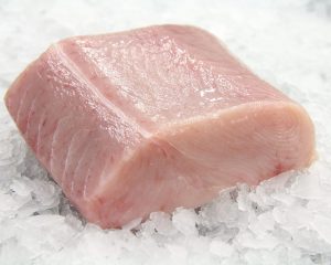 Thresher Shark Fillet
