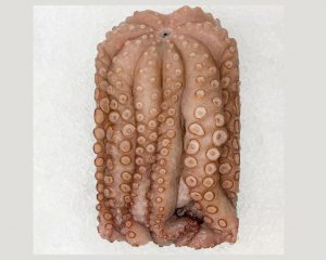 Whole Spanish Octopus