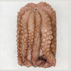 Whole Spanish Octopus