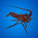 Why California Spiny Lobster Prices Are Set the Way They Are — What Most Consumers Don’t Know