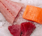 Fillets & Steakfish
