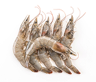 Seafood