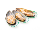 Shellfish