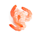 Shrimp