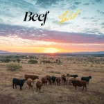 QS Beef: Heritage-Driven, Grass‑Fed, Hormone‑Free, Free‑Range Beef from Sonora’s 22,000‑Acre Family Ranch